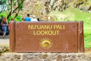 Sights & Bites Ultimate Oahu Circle Island Foodie Tour - Halona Blowhole: your “wow” stop to start the day