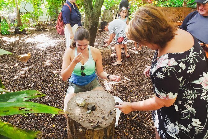 Sights & Bites Ultimate Oahu Circle Island Foodie Tour - Hanauma Bay Nature Preserve: 10 minutes, big payoff