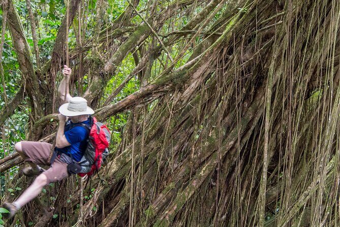 Skip the Crowds: Secret Oahu Half Circle Tour with a Local - Kalakaua Ave and Kapiolani Park: Waikiki’s edge with context