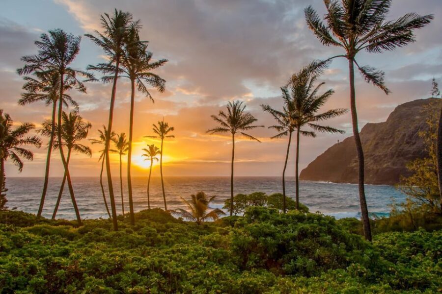 Small Group 3 Hour Honolulu Sunrise Tour with Malasadas - Pickup in Waikiki: How Morning Logistics Stay Simple