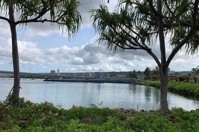 Small Group-Oahu Tour, Dole Plantation, Northshore, Sunset Beach - What This 7:00 am Oahu Loop Is Built For