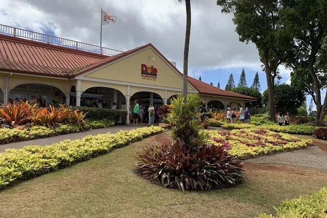 Small Group-Oahu Tour, Dole Plantation, Northshore, Sunset Beach - Waimea Bay and Haleiwa Beach: Big-Wave Country in Winter
