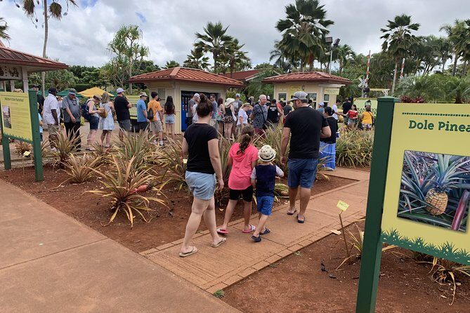Small Group-Oahu Tour, Dole Plantation, Northshore, Sunset Beach - Sunset Beach: When the Ocean Shows Off