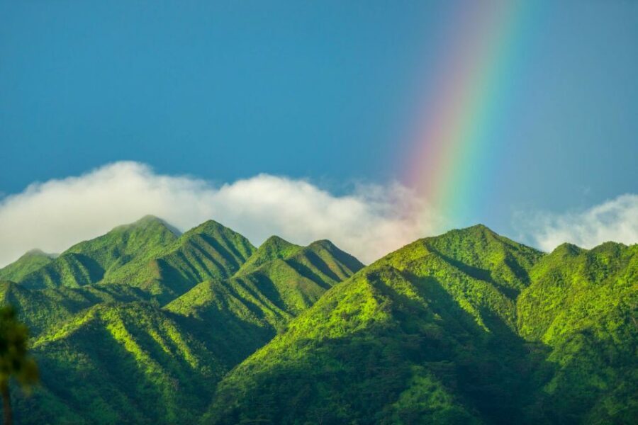 Small Group Tour of Honolulu Scenic Vistas with Sunset - Tantalus Lookout (Puu Ualakaa) and the Makapuʻu viewpoint: panoramas with real payoff