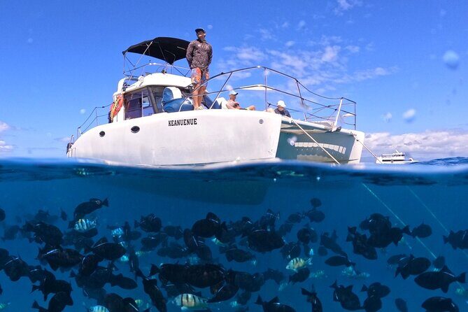 Small Group Turtle Canyon Snorkel in Waikiki (Boat Tour) - Turtle Canyon, Waikiki style: what makes this snorkel tour different