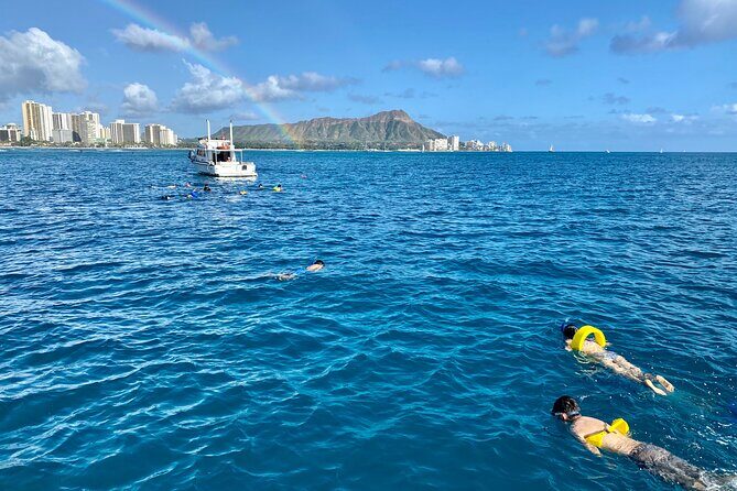 Small Group Turtle Canyon Snorkel in Waikiki (Boat Tour) - Where you start: Hawaii Ocean Charters on Ala Moana Blvd