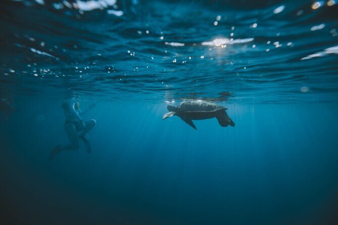 Small Group Turtle Canyon Snorkel in Waikiki (Boat Tour) - Stop 2: Diamond Head State Monument—scenery that helps you reset