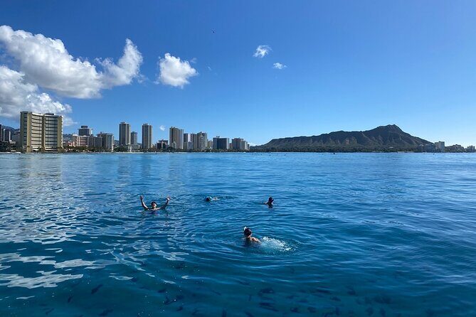 Small group Turtle Snorkel (16 people max): Sightings Guaranteed - The Boat Ride: Waikiki Views Plus Sea-Life Scanning
