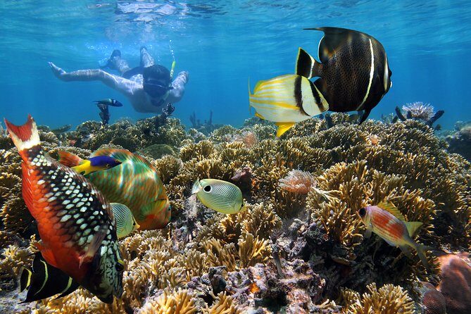 Snorkel Gears near Hanauma Bay - Pickup experience: what you’ll notice right away