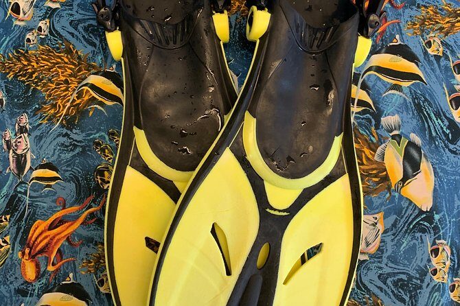 Snorkel Gears near Hanauma Bay - Who this rental fits best