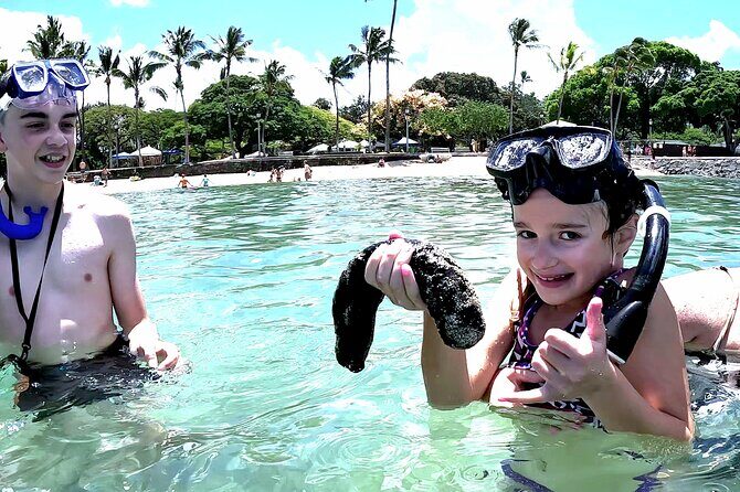 Snorkeling in Waikiki Many Fish All Levels Free Video & Pics! - Key highlights at a glance