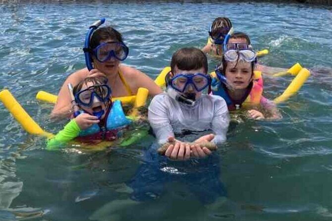 Snorkeling in Waikiki Many Fish All Levels Free Video & Pics! - Equipment That Makes Beginner Snorkeling Actually Work
