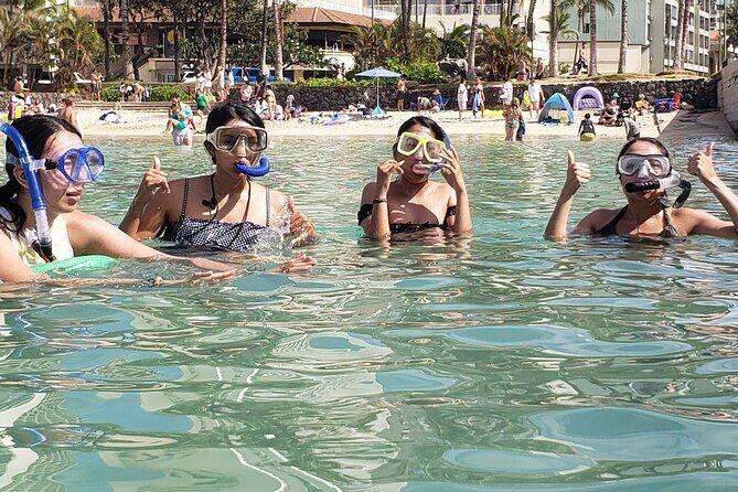 Snorkeling in Waikiki Many Fish All Levels Free Video & Pics! - Photos and Video: The Included Souvenir You’ll Actually Use