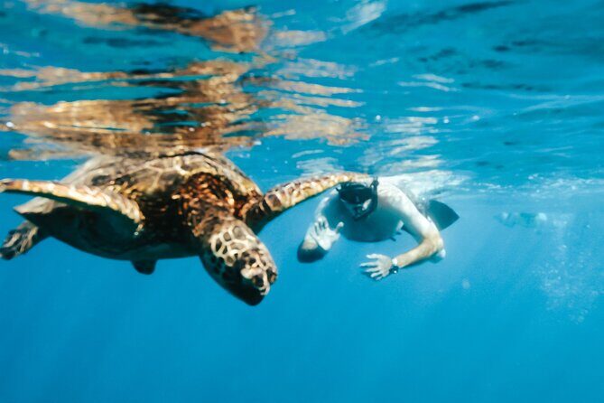Snorkeling with Sea Turtles in Waikiki Hawaii Boat Tour - Stop 1 to Stop 3: what each phase gives you (and what to watch for)