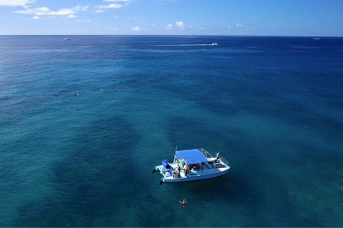 Snorkeling with Sea Turtles in Waikiki Hawaii Boat Tour - Should you book this Waikiki sea turtle snorkeling boat tour?