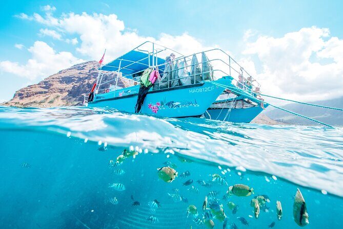 Snorkeling with Sea Turtles in Waikiki Hawaii Boat Tour - Meeting the water: how the honu snorkeling experience is run