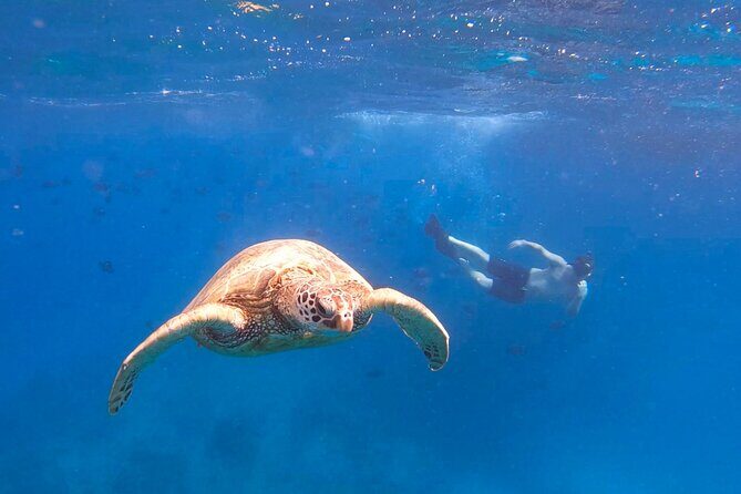 Snorkeling with Turtle/Water Scooter/Paddleboard Adventures Oahu - Price and what you’re actually getting for $129