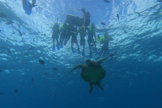 Snorkeling with Turtle/Water Scooter/Paddleboard Adventures Oahu - Electric sea scooters: fun, easier than you expect, still worth listening