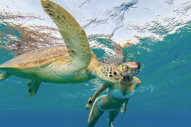 Snorkeling with Turtle/Water Scooter/Paddleboard Adventures Oahu - Diamond Head Crater and Waikiki stops: scenery plus a practical route