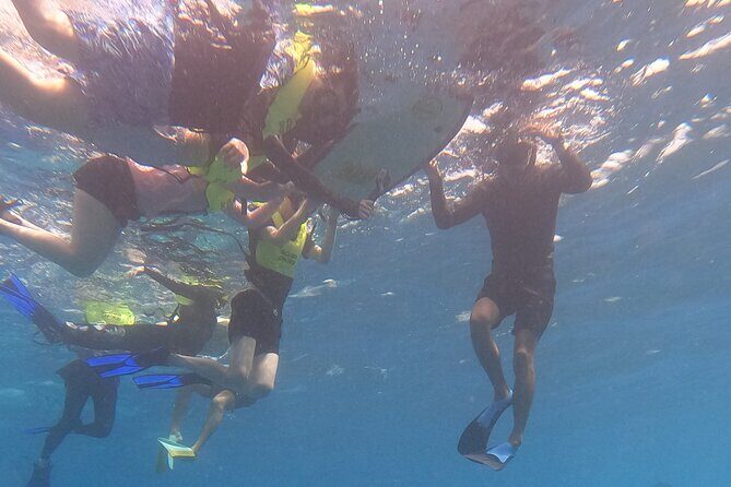 Snorkeling with Turtle/Water Scooter/Paddleboard Adventures Oahu - Meeting point, pickup, and how the day flows