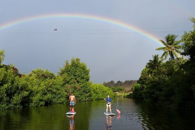 Stand Up Paddle Nature and Turtle tour-Guaranteed to see turtles - Key things I’d circle before you go