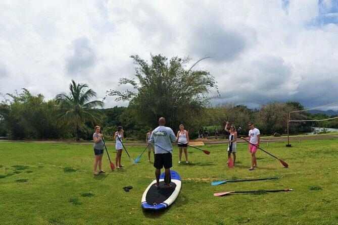 Stand Up Paddle Nature and Turtle tour-Guaranteed to see turtles - The gear and lesson: how beginners actually get comfortable