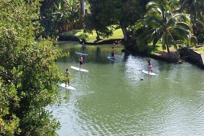 Stand Up Paddle Nature and Turtle tour-Guaranteed to see turtles - Spotting turtles: what you should watch for