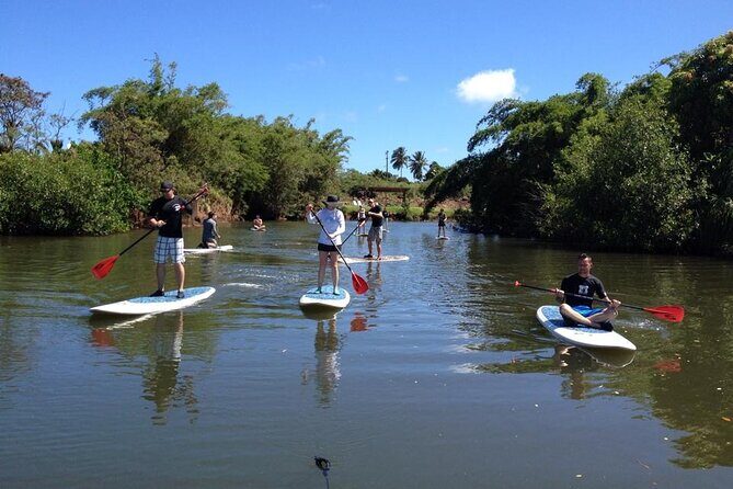 Stand Up Paddle Nature and Turtle tour-Guaranteed to see turtles - Small group size: why it feels better on the water