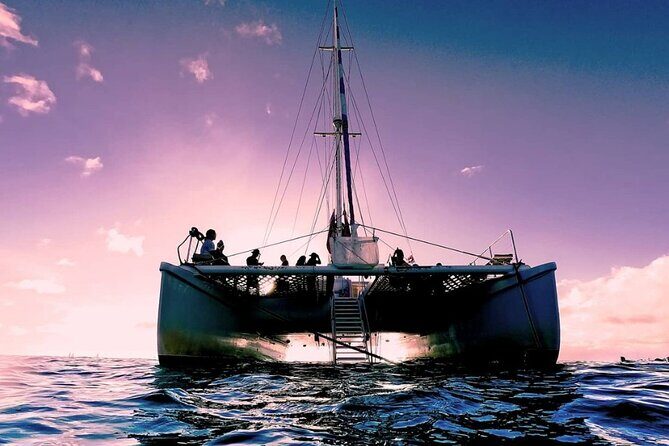 Sunset Boat Cruise: Swim and Cruise Waikiki - What You’ll See: Waikiki, Diamond Head, and Sea Life Spotting