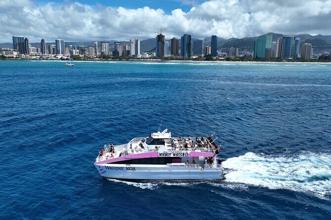 Sunset Cruise & Whale Watching from Oahu - The Crew Makes the Difference: Captain Jamie, Alexio, and Big Mike