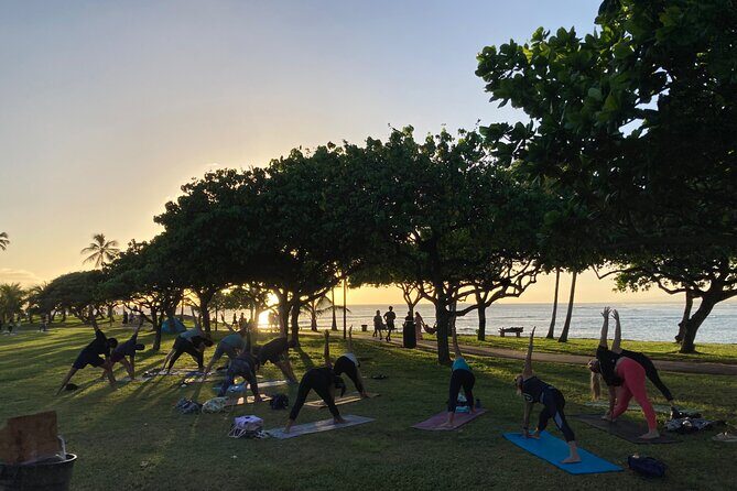 Sunset Yoga Flow at Magic Island - Sunset Yoga Flow at Magic Island: The Big Picture