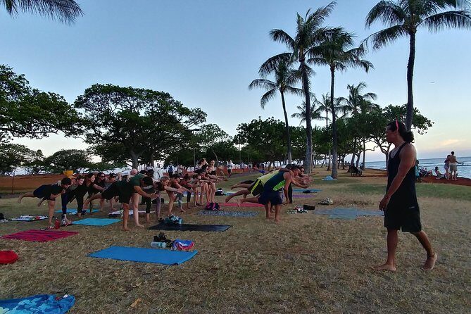 Sunset Yoga Flow at Magic Island - Where You Meet and How to Find the Yoga Spot Fast
