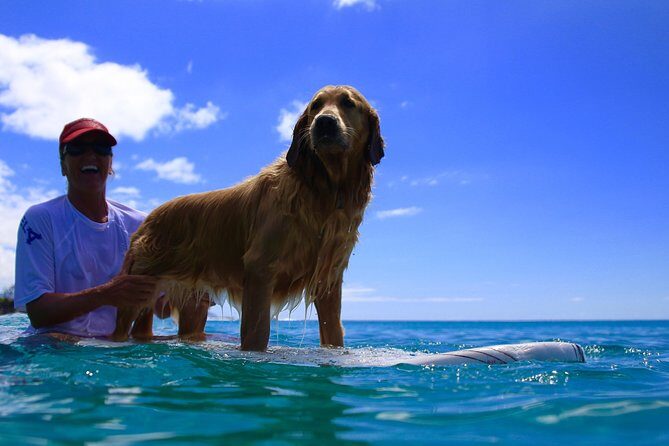 Surf Lessons on the North Shore of Oahu - North Shore beginner surfing feels calmer than you expect