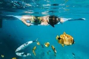 Swim with Dolphins Catamaran with Waterslide & Lunch on Oahu - Catamaran ride: waterslide fun, real ocean rocking, and quick comfort wins