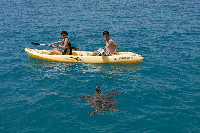 Swim with Dolphins Catamaran with Waterslide & Lunch on Oahu - Spotting dolphins off Oahu: what the day feels like in motion