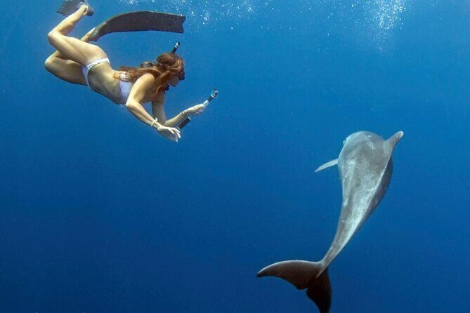 Swim with Dolphins Catamaran with Waterslide & Lunch on Oahu - Lunch, snacks, and the post-ocean “you made it” feeling