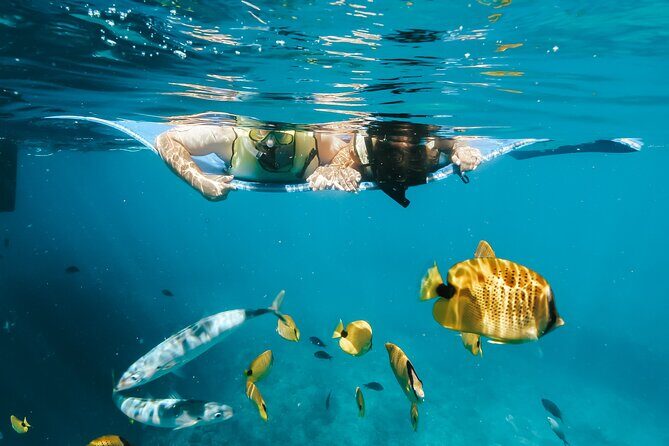 Swim with Dolphins Catamaran with Waterslide & Lunch on Oahu - Catamaran ride: waterslide fun, real ocean rocking, and quick comfort wins