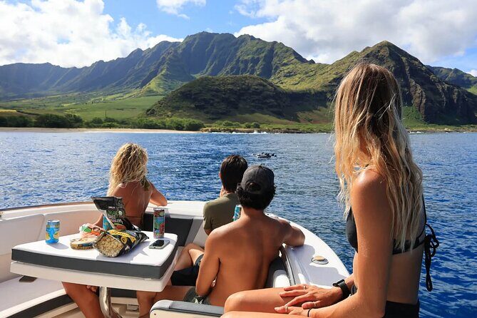 Swim With Dolphins & Turtles in West Oahu (Semi-Private Tours) - Swimming with dolphins and snorkeling with turtles: what to expect