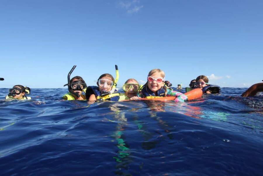 Swim with Wild Dolphins Oahu Speedboat Snorkeling Adventure! - Lunch onboard and allowed alcohol: turning downtime into a win