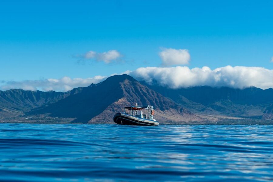 Swim with Wild Dolphins Oahu Speedboat Snorkeling Adventure! - Who this tour is best for (and who should pass)