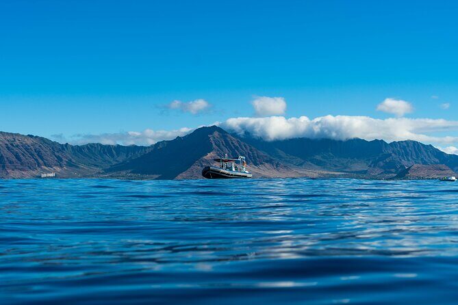 Swimming with Wild Dolphins Speedboat Adventure on Oahu - Price and value: what $199 really buys you