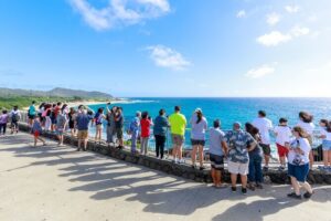 Tour of North Shore & Waimea Waterfall - Diamond Head viewpoint: a quick stop with real meaning
