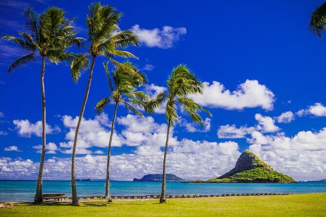 Tour of North Shore & Waimea Waterfall - East side taste breaks: macadamia, coffee, chocolates, and quick island film magic