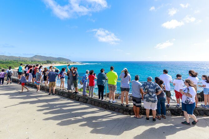 Tour of North Shore & Waimea Waterfall - Diamond Head viewpoint: a quick stop with real meaning