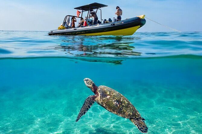 Turtle Canyon Snorkel Adventure - Small Group 6 Passengers - Why Turtle Canyon Feels Different With Only 6 People on Board