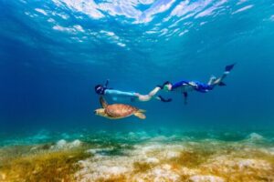 Turtle Canyon Snorkel Adventure - Small Group 6 Passengers - Getting to Kewalo Basin: Pier A and the Importance of Arriving Early