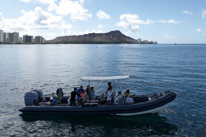 Turtle Canyon Snorkel: Semi Private Boat Tour - Snorkel Gear, Float Support, and Safety That Feels Real