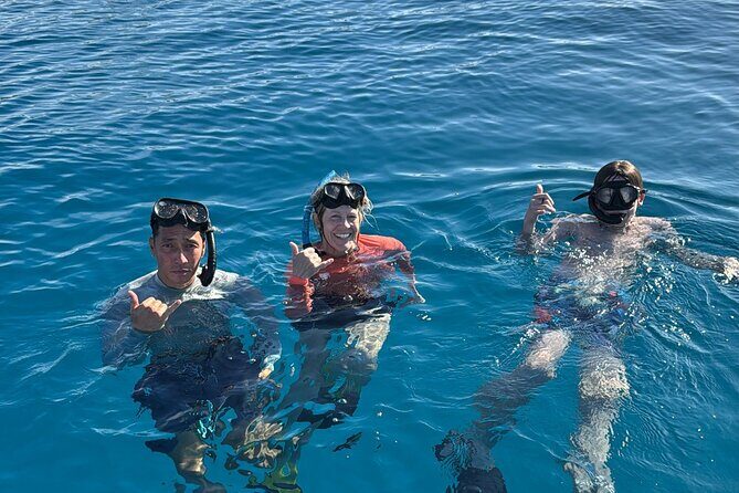 Turtle Canyon Snorkel Tour - Semi-private: 6 passenger max - Key things I’d bet on before you book