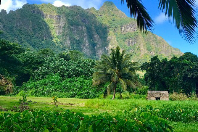 Uniquely Personalized Private Island Tour on Oahu, Hawaii - Why This Private Oahu Tour Feels Like Yours