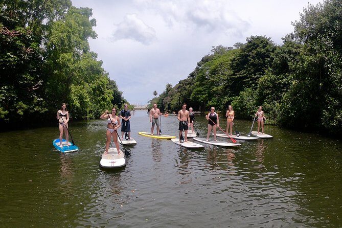 Uniquely Personalized Private Island Tour on Oahu, Hawaii - South Shore Volcanic Crater, Blowhole, and Halona-Style Stops